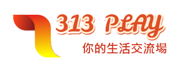 v313 商機匯